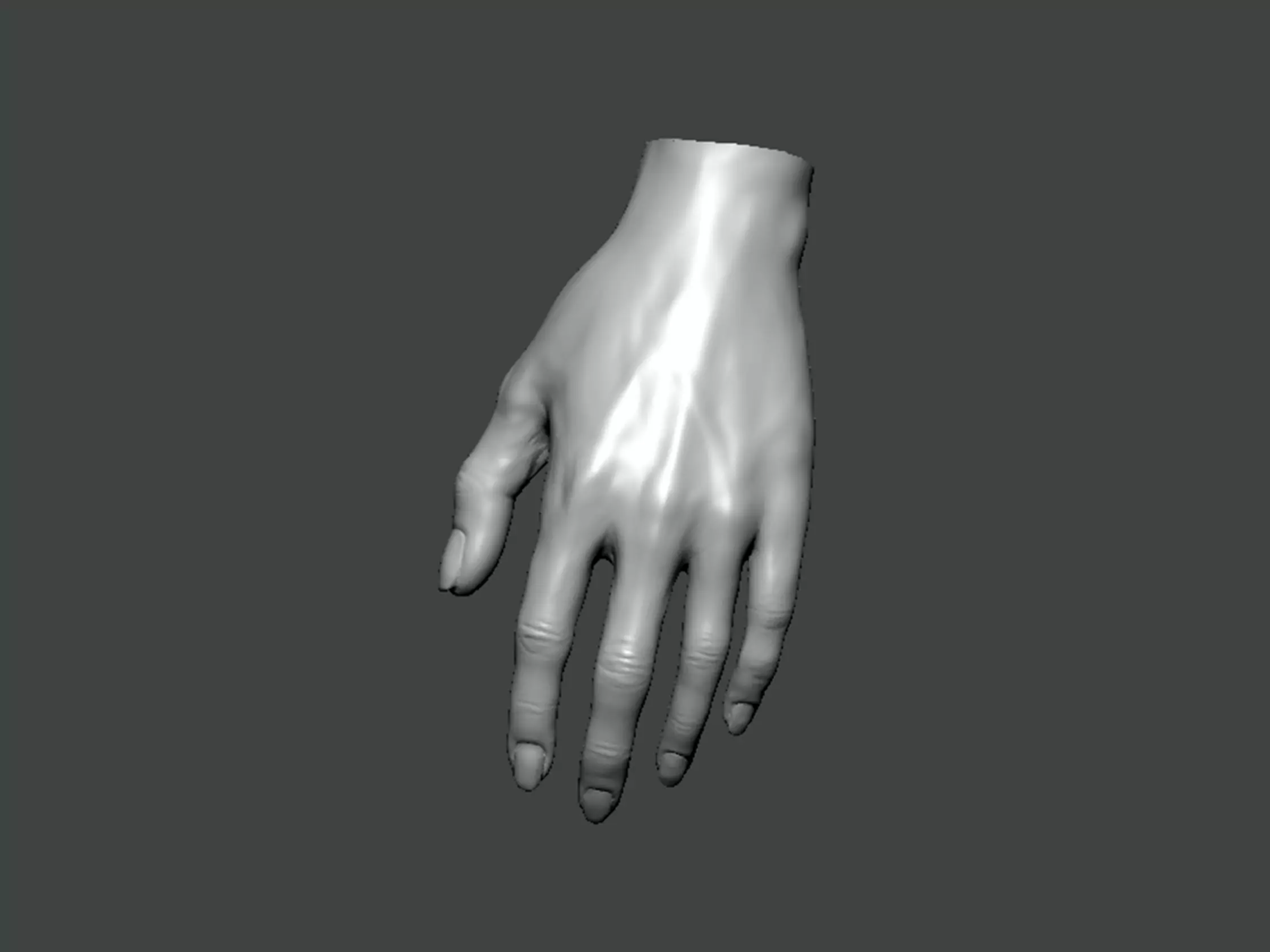 3D Model-HAND0013 hand 3D print model_0