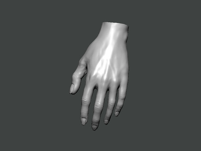 3D Model-HAND0013 hand 3D print model