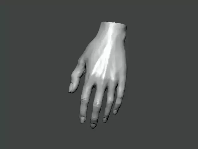3D Model-HAND0013 hand