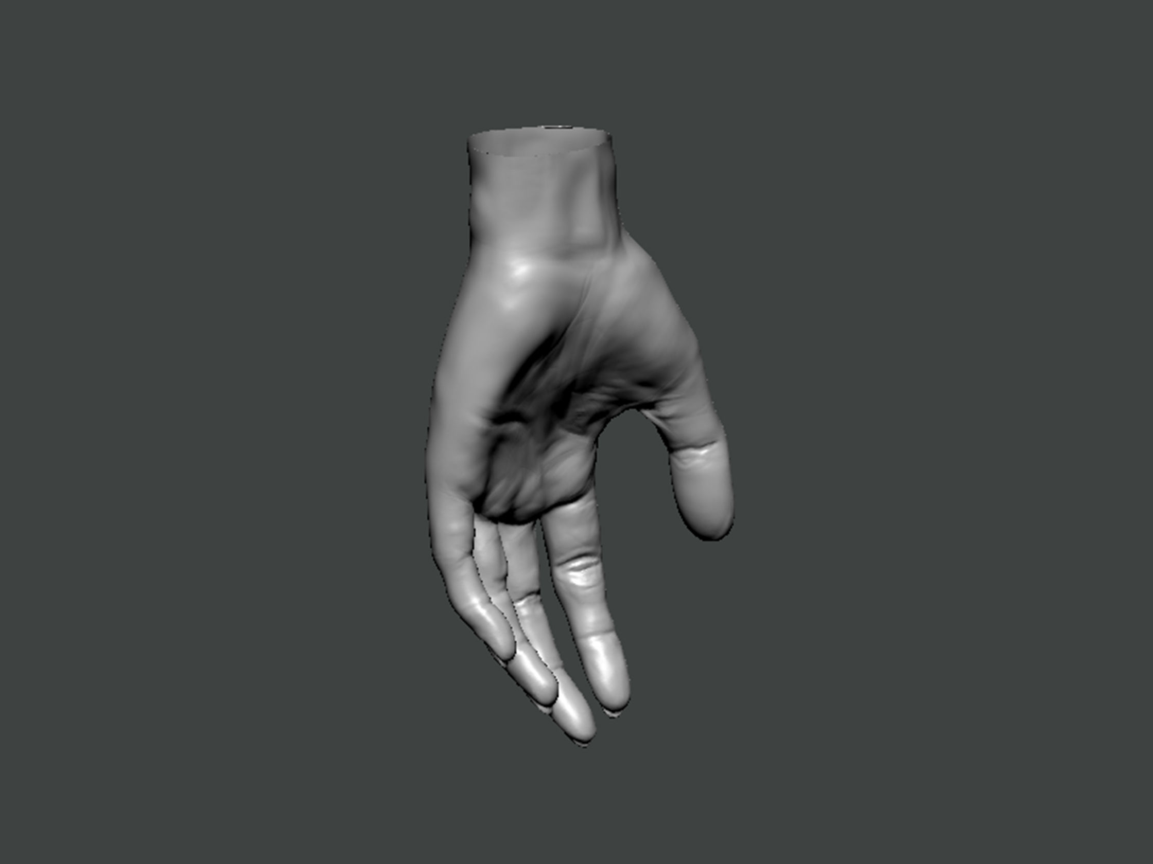 3D Model-HAND0013 hand 3D print model_3