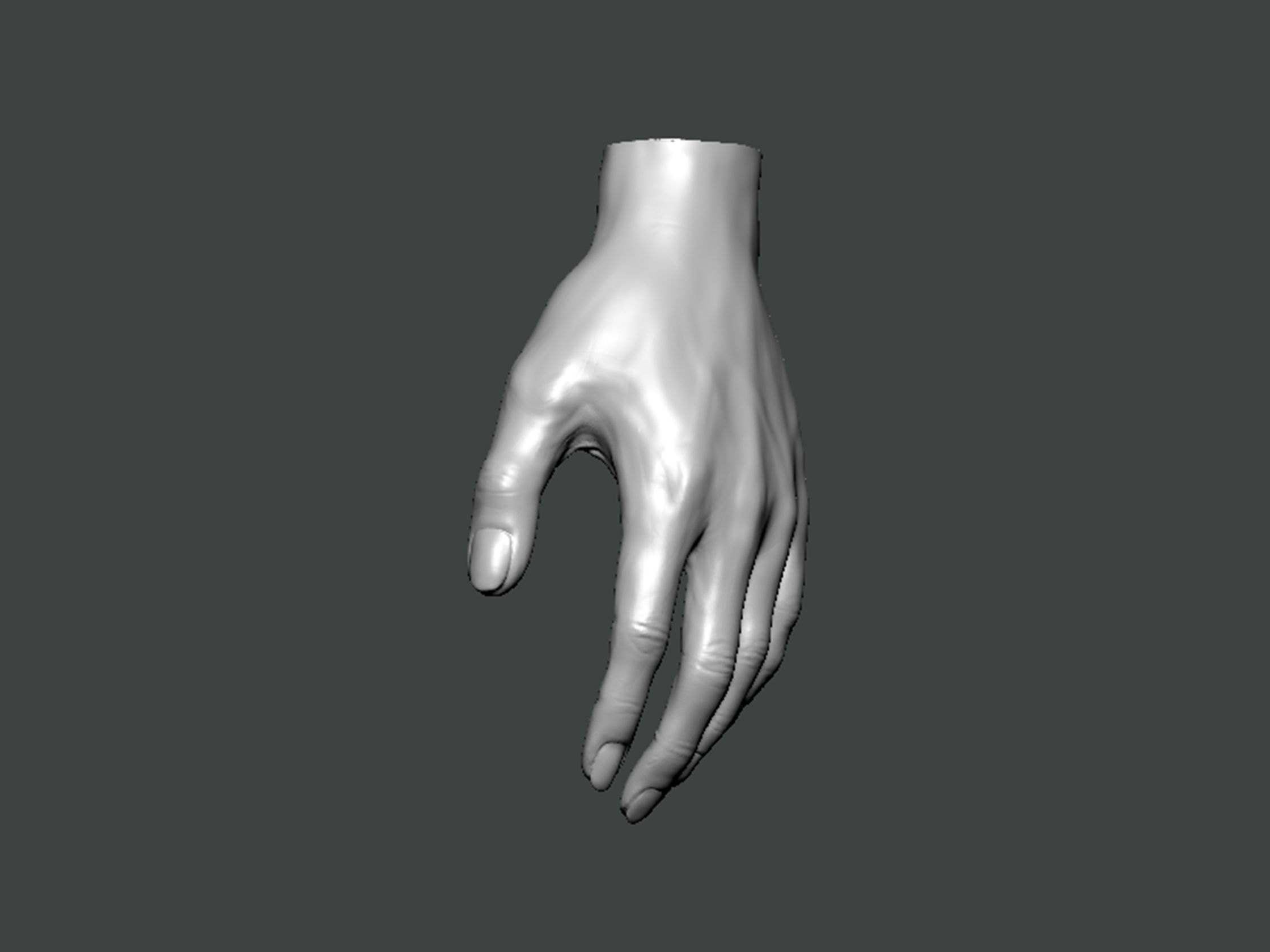 3D Model-HAND0013 hand 3D print model_1
