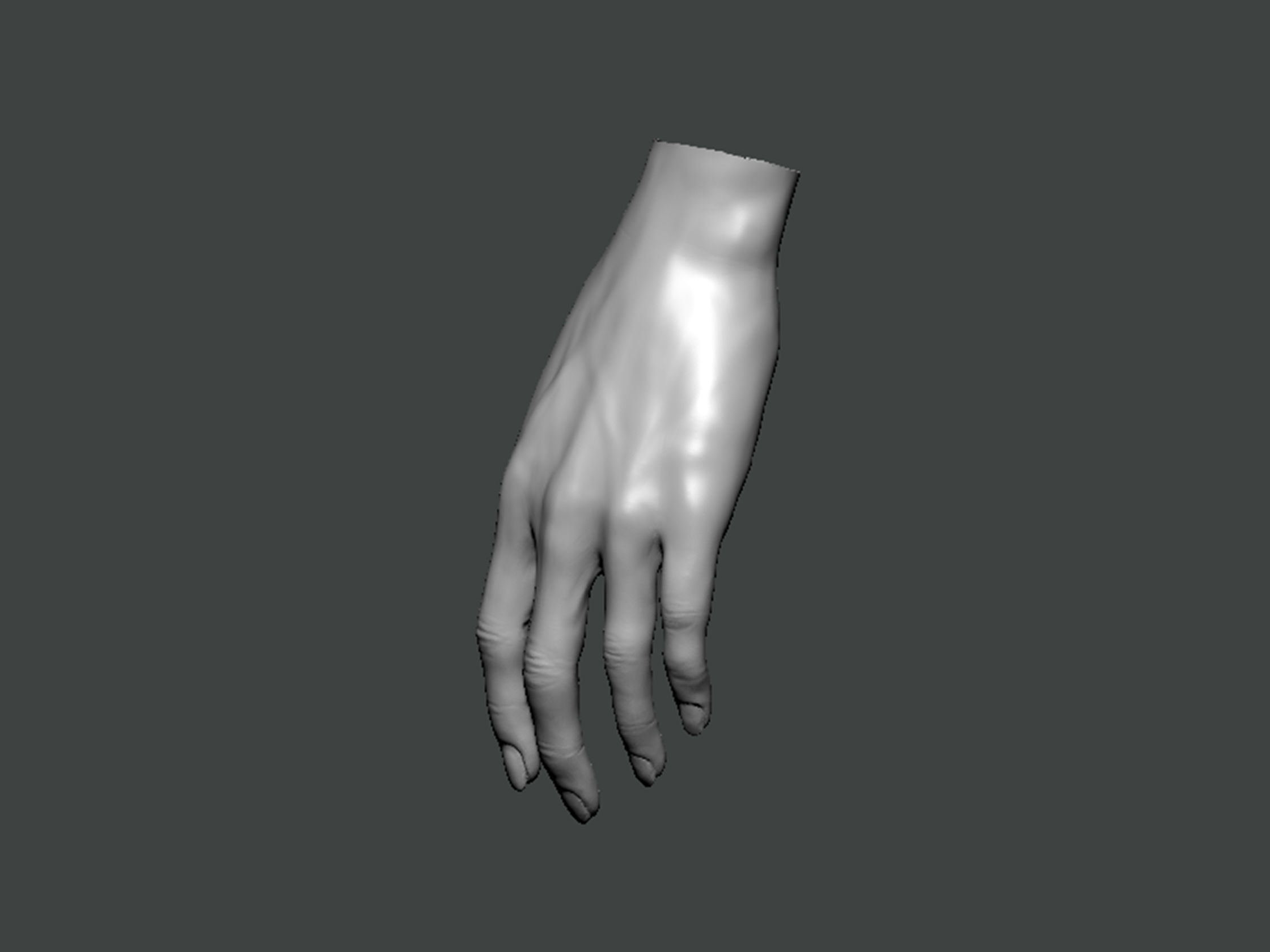 3D Model-HAND0013 hand 3D print model_2