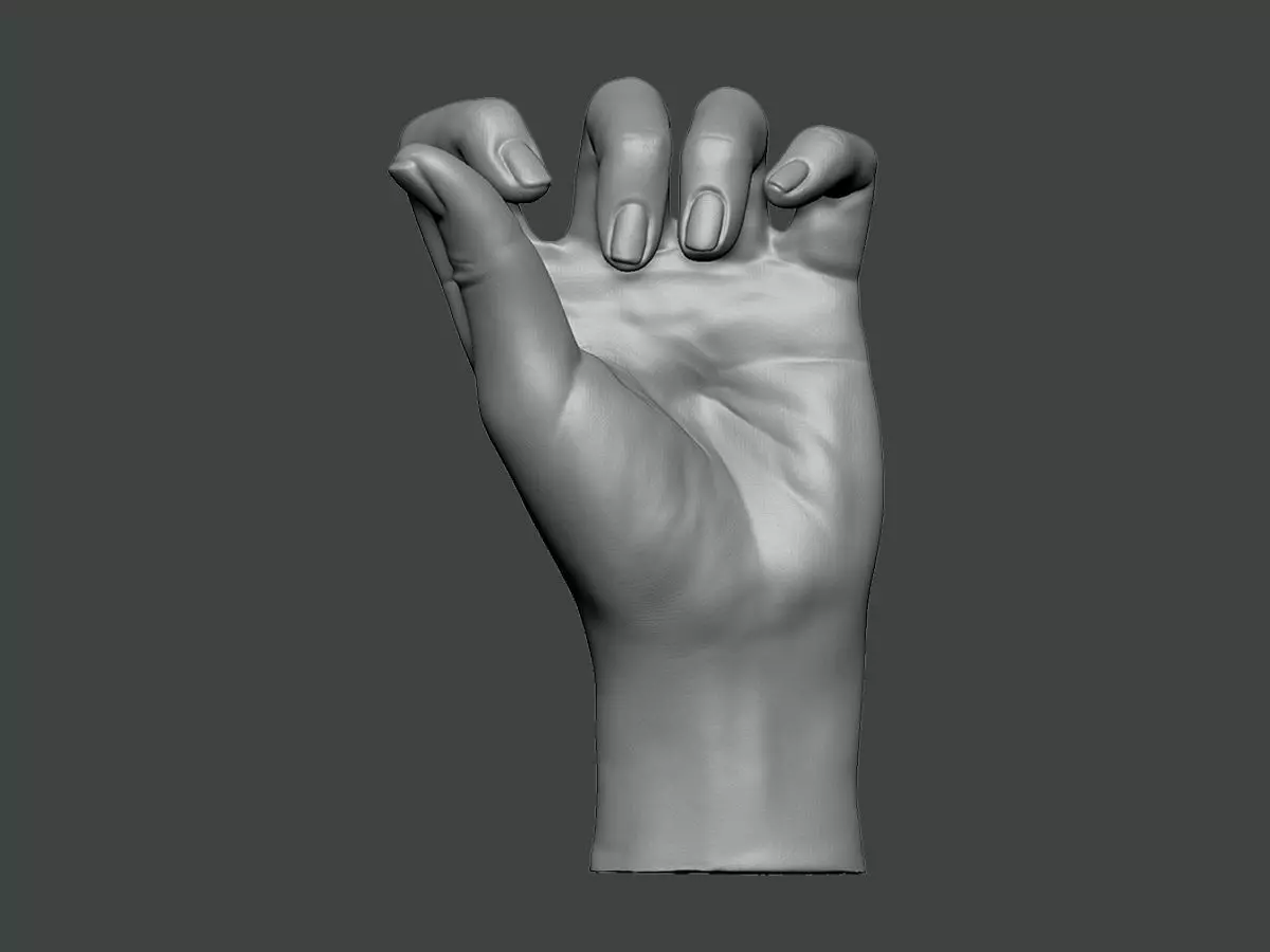 3D Model-HAND0014 hand 3D print model_0