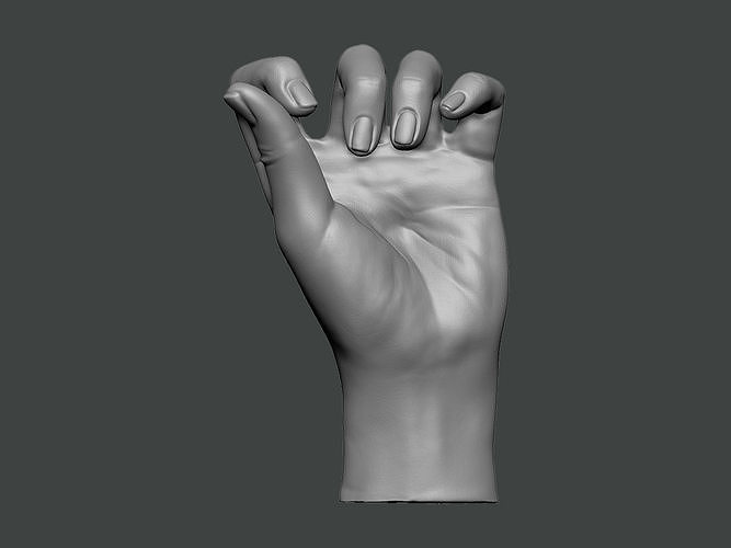3D Model-HAND0014 hand 3D print model