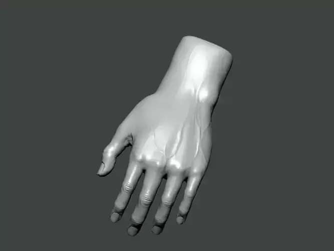 3D Model-HAND0016 hand
