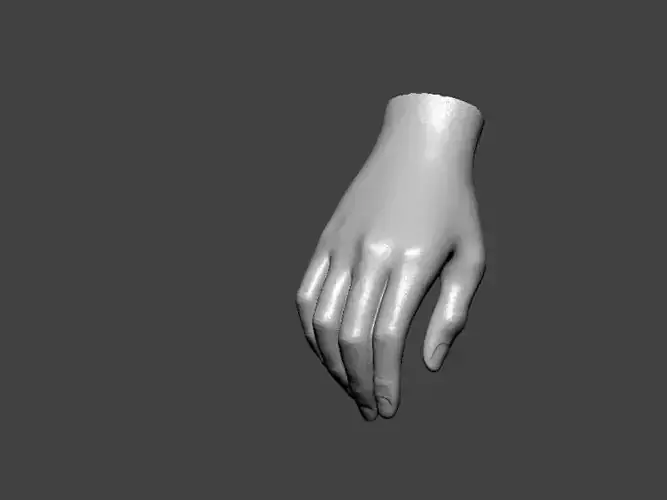 3D Model-HAND0018 hand