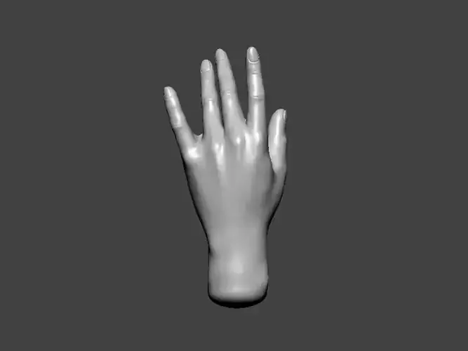 3D Model-HAND0019 hand