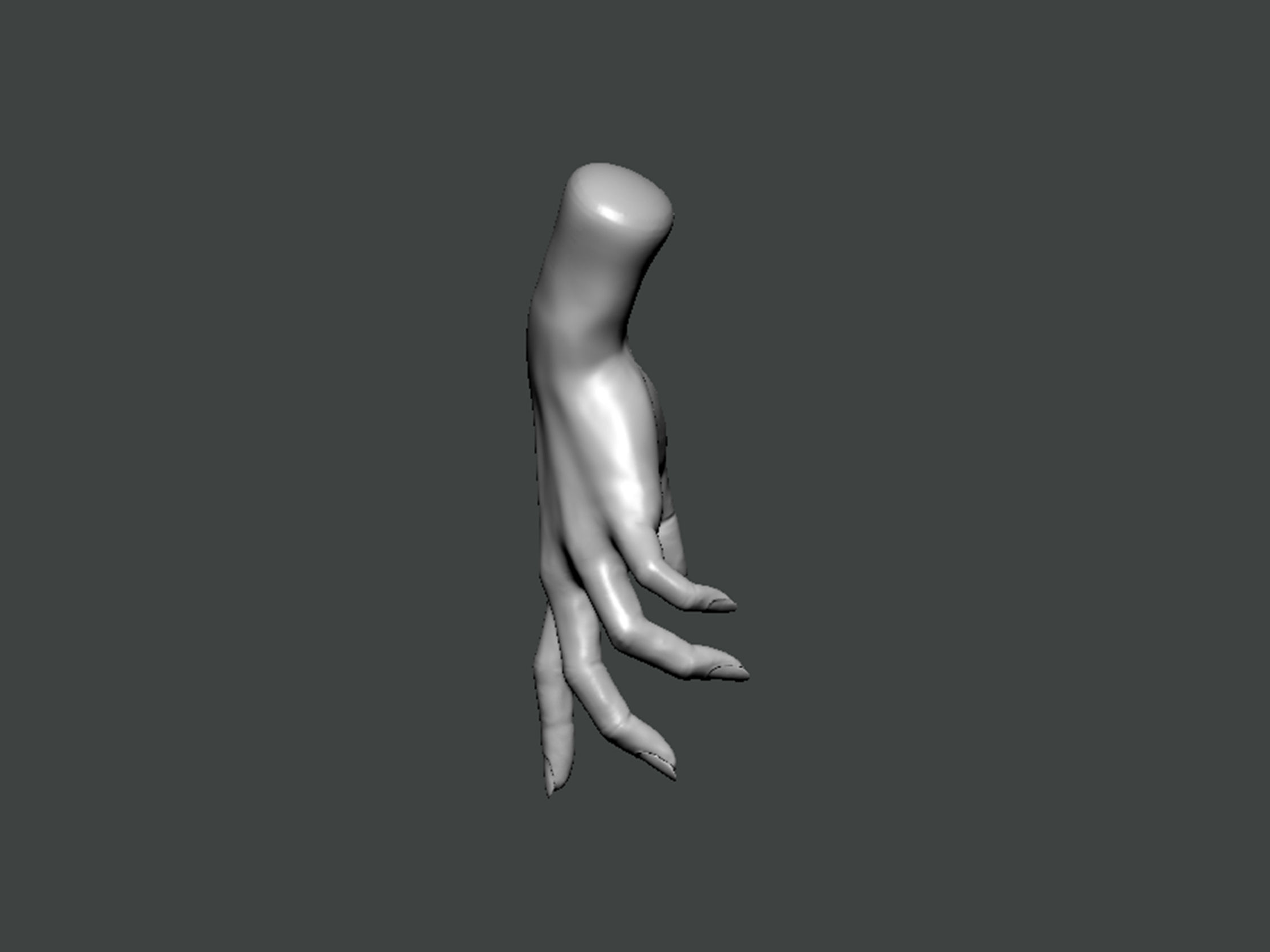 3D Model-HAND0020 hand 3D print model_2