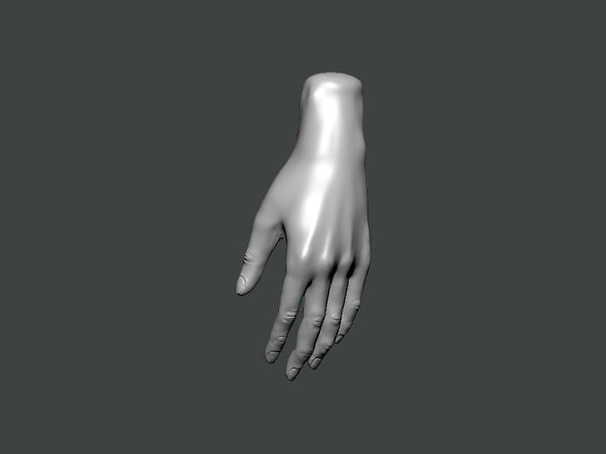 3D Model-HAND0021 mannequin hand 3D print model