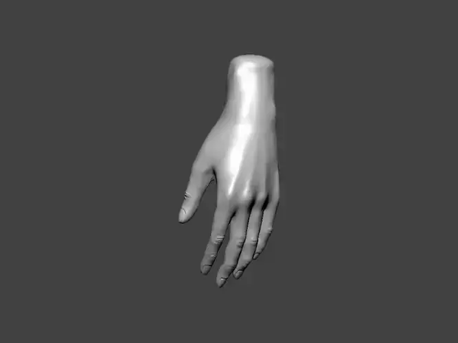 3D Model-HAND0021 mannequin hand 3D print model