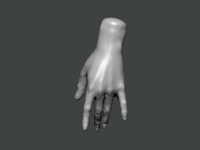 3D Model-HAND0022 hand 3D print model