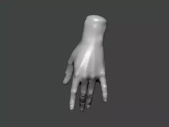 3D Model-HAND0022 hand