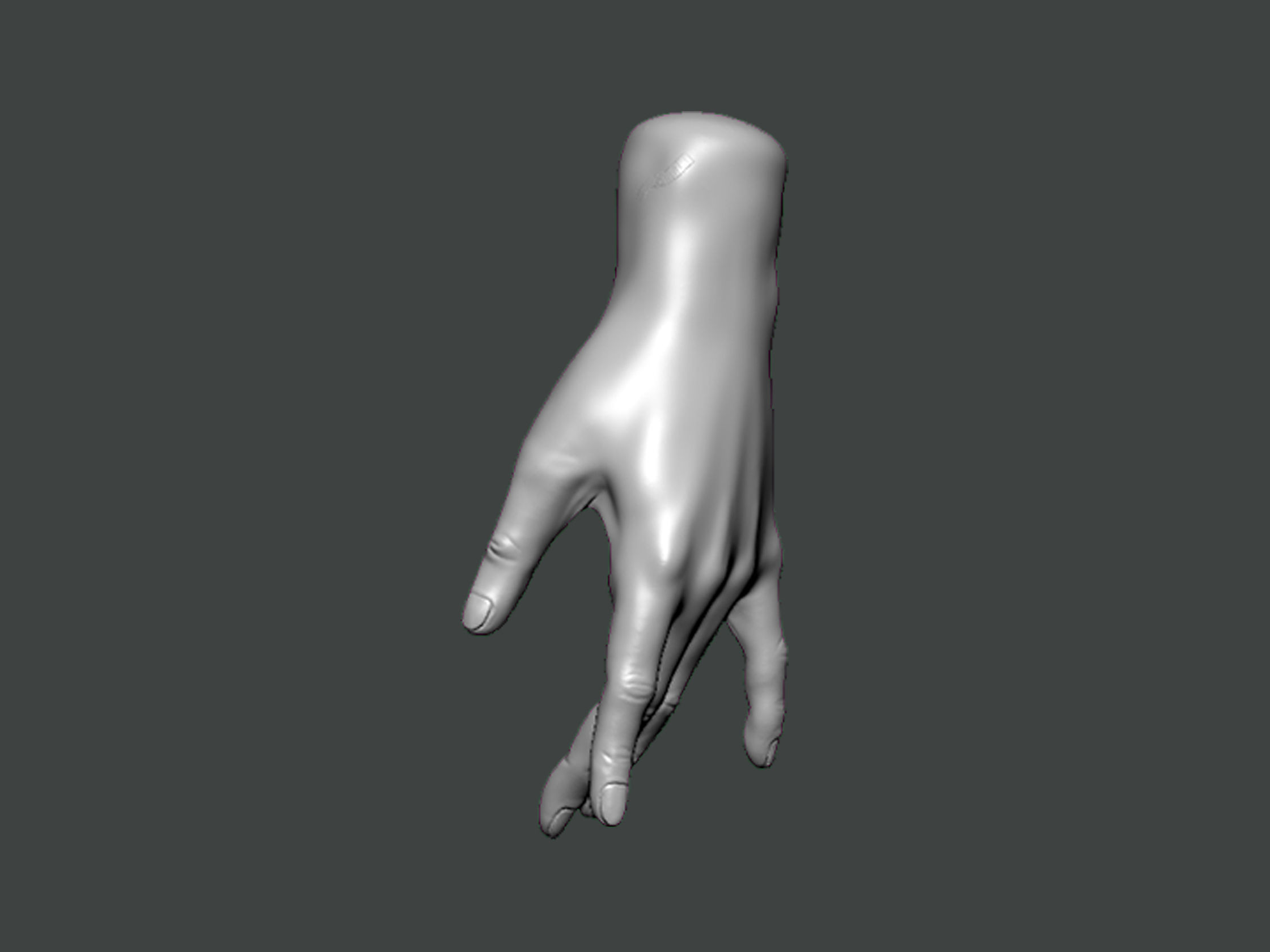 3D Model-HAND0022 hand 3D print model_2