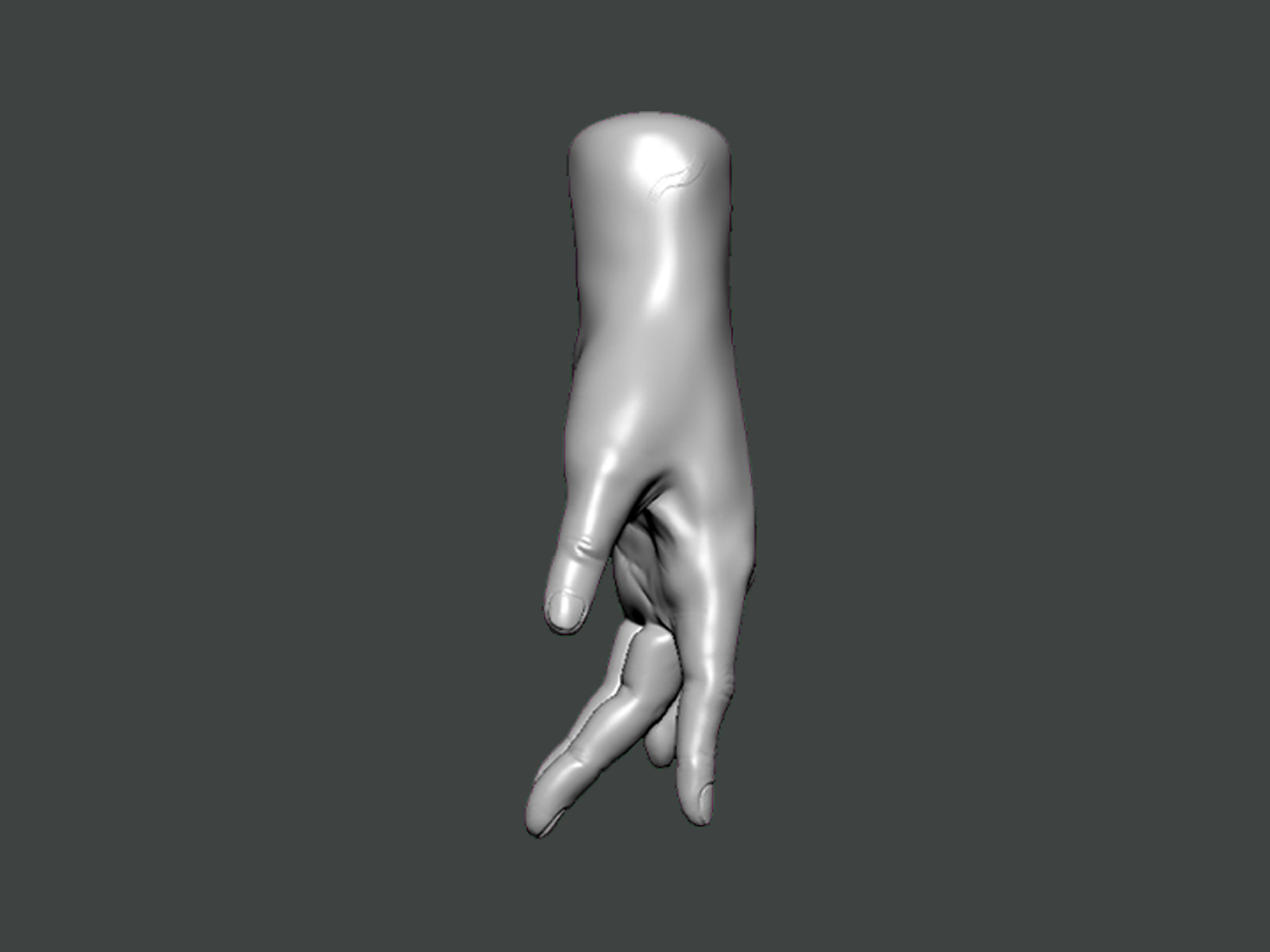 3D Model-HAND0022 hand 3D print model_1