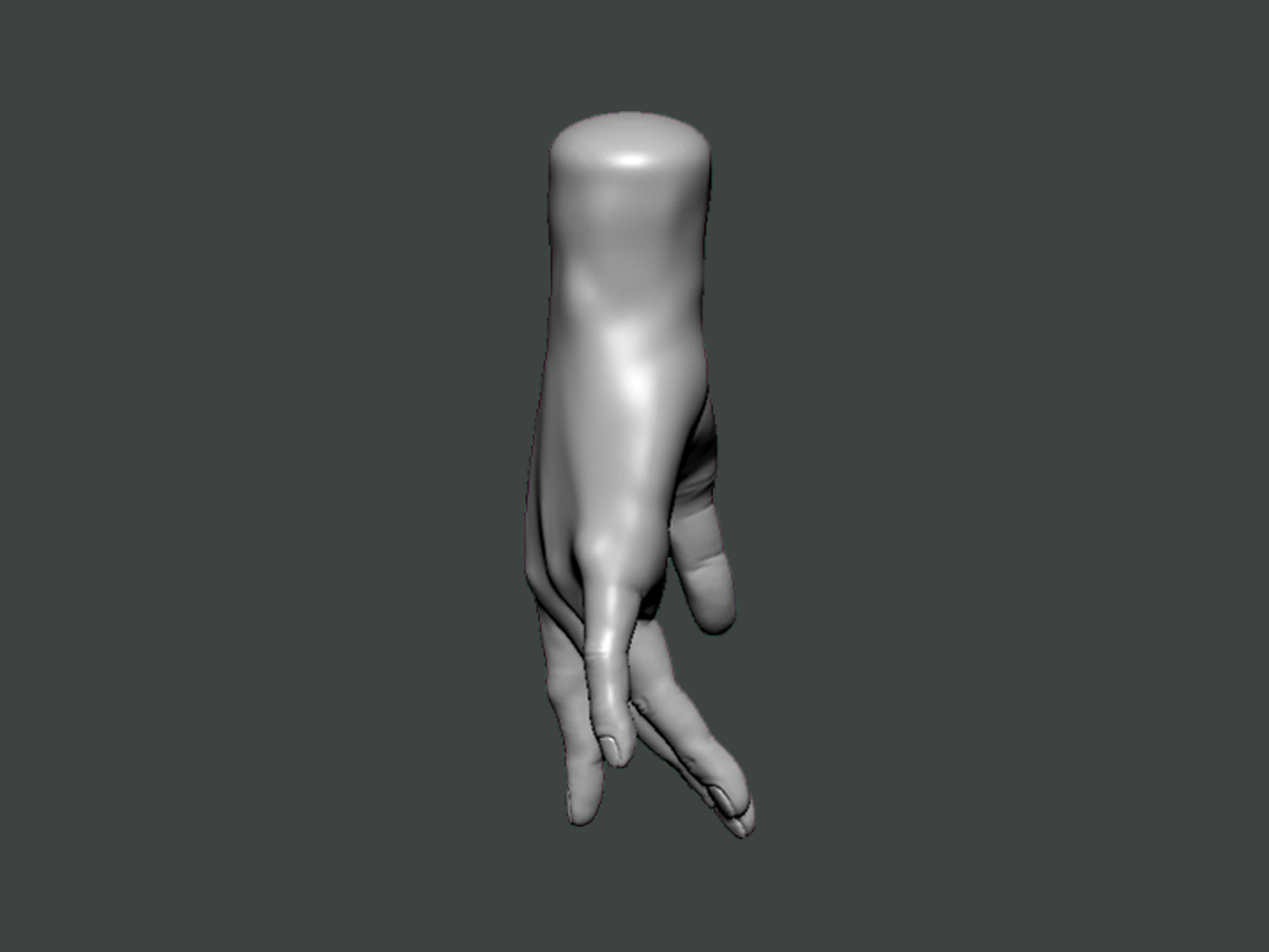 3D Model-HAND0022 hand 3D print model_3
