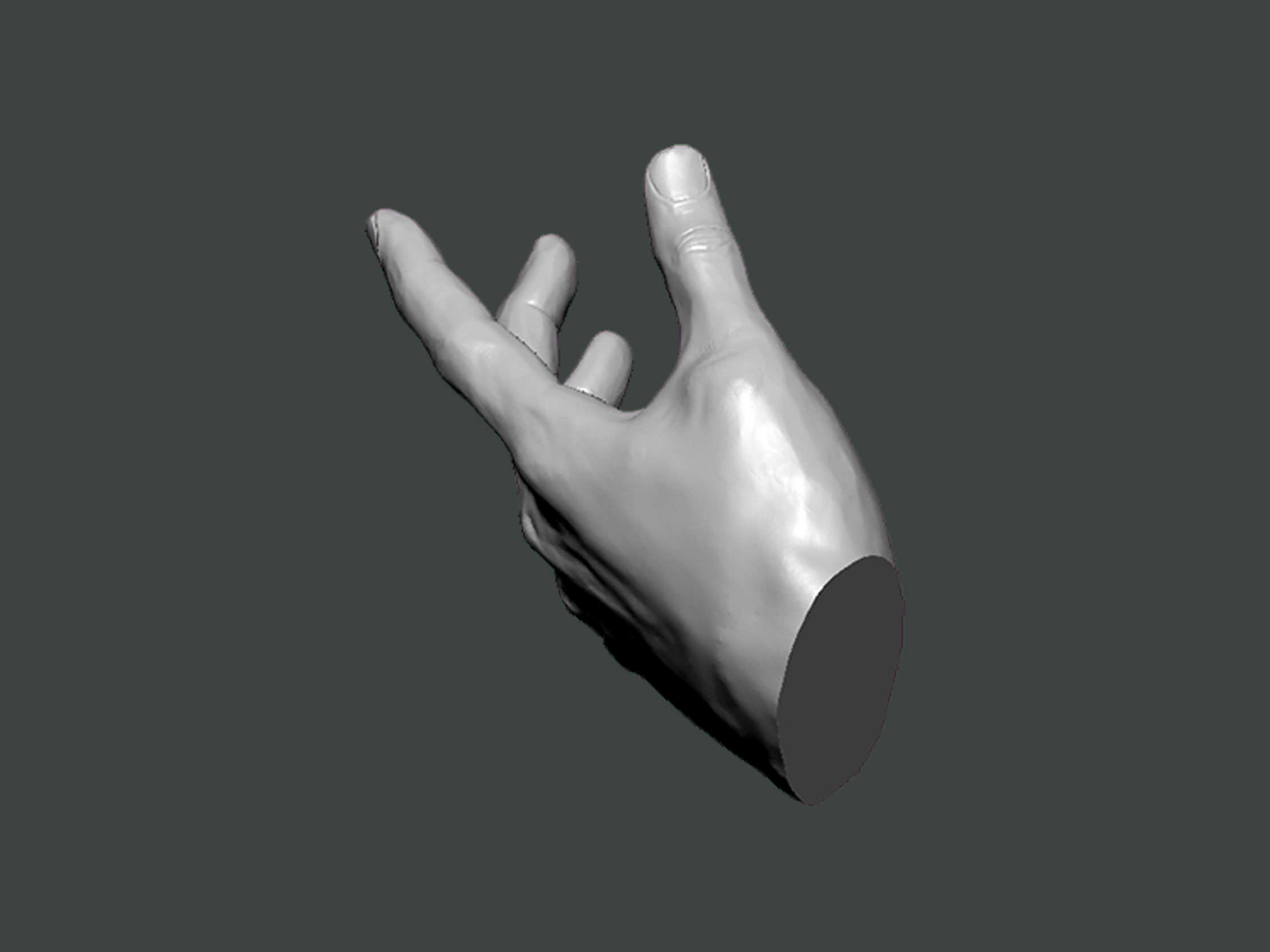 3D Model-HAND0025 hand 3D print model_3