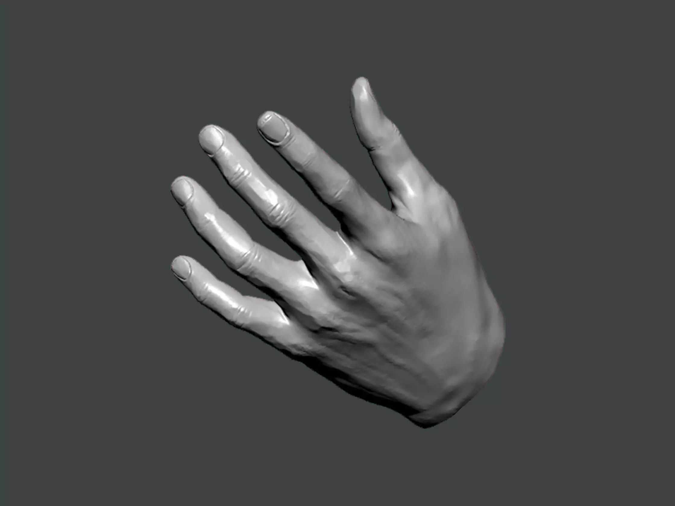 3D Model-HAND0025 hand 3D print model_0