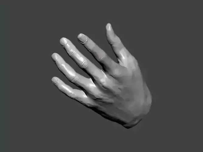 3D Model-HAND0025 hand 3D print model