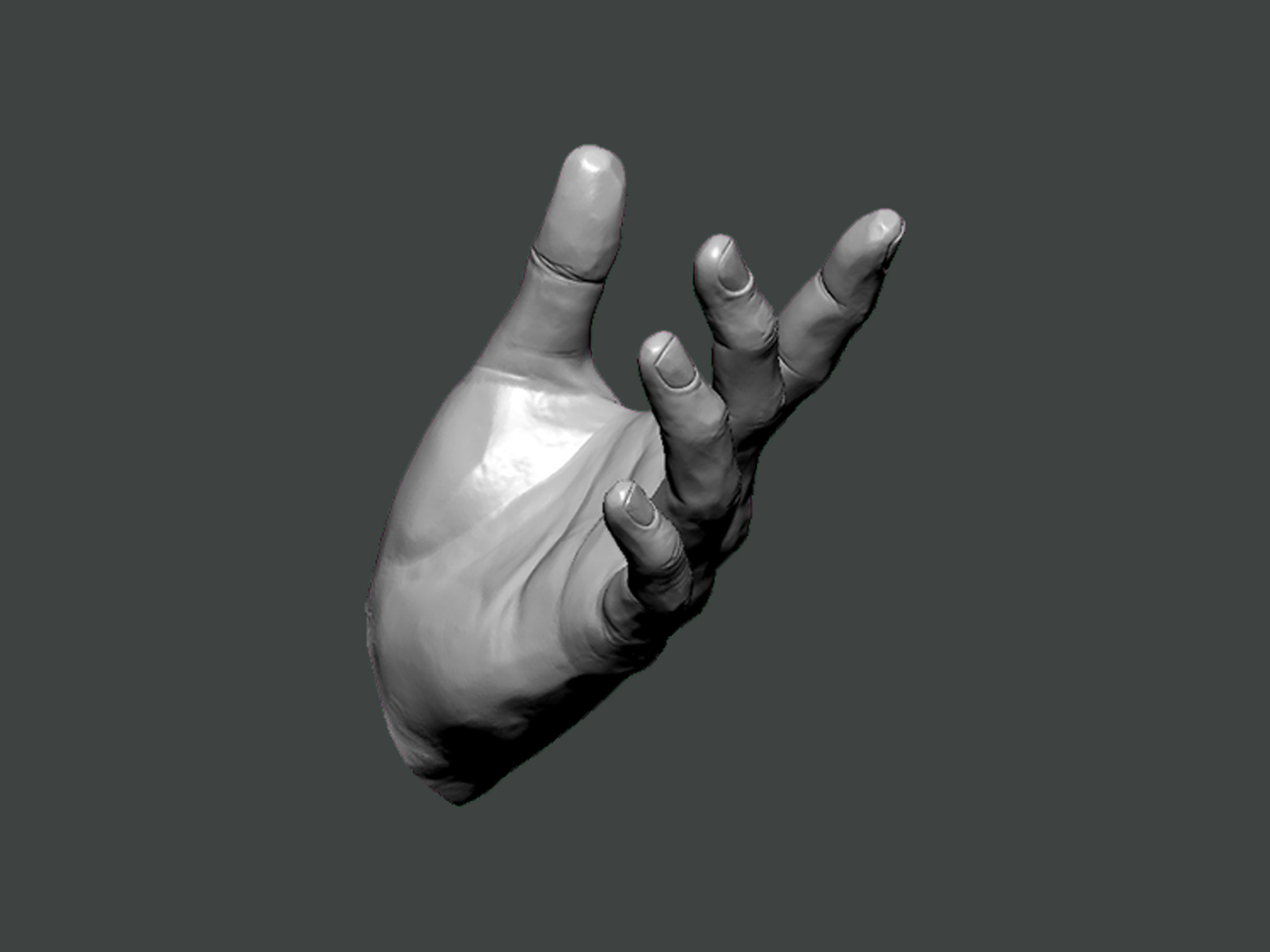 3D Model-HAND0025 hand 3D print model_1
