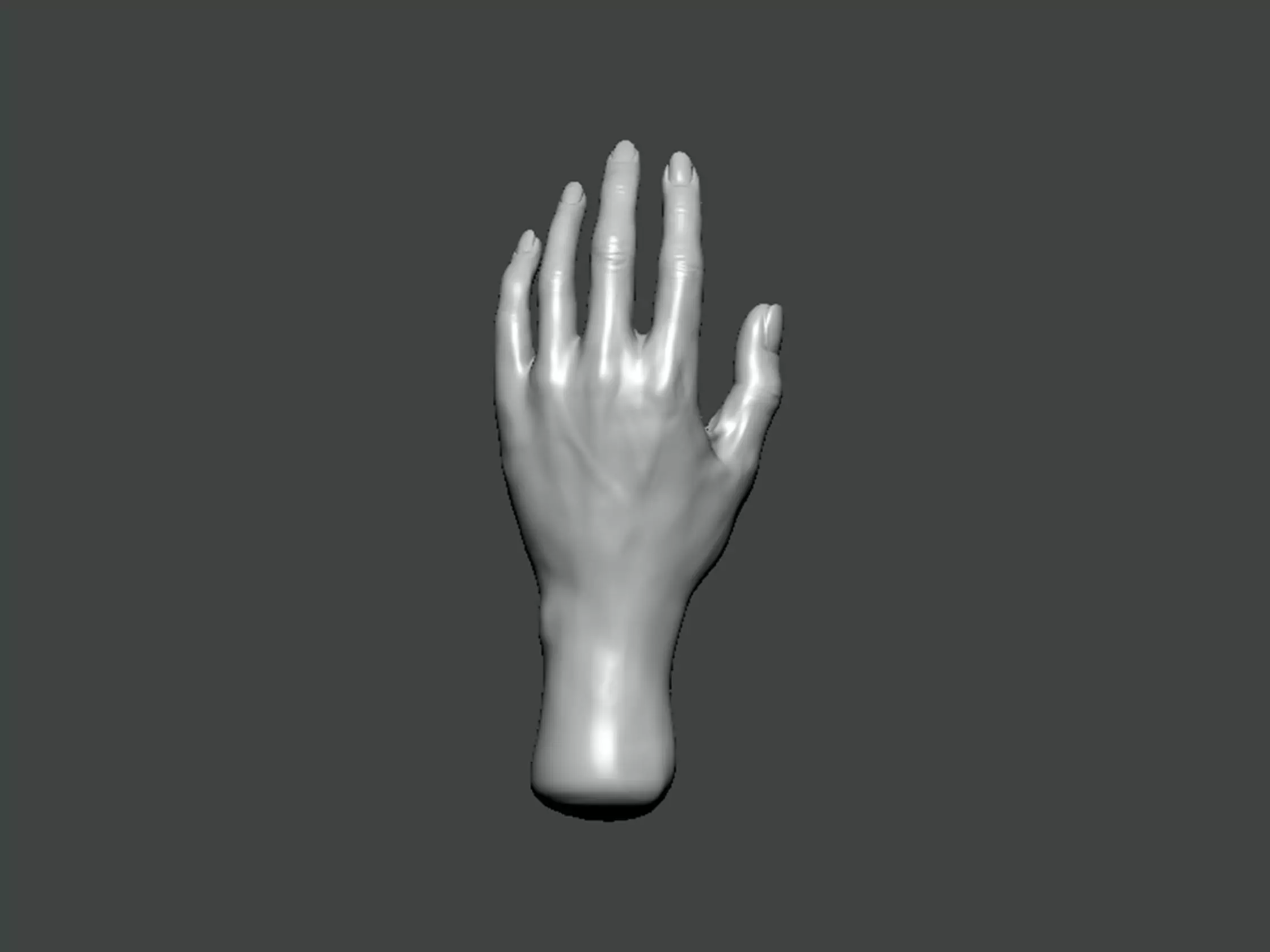 3D Model-HAND0026 hand 3D print model