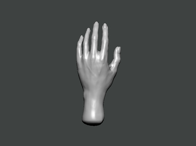 3D Model-HAND0026 hand 3D print model