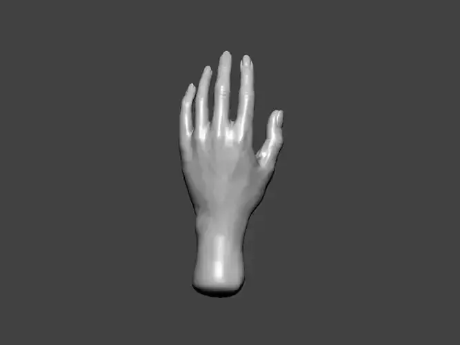 3D Model-HAND0026 hand