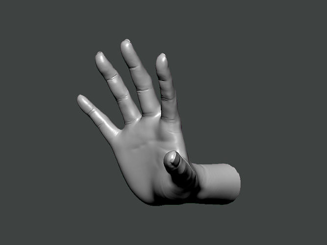3D Model-HAND0027 hand 3D print model
