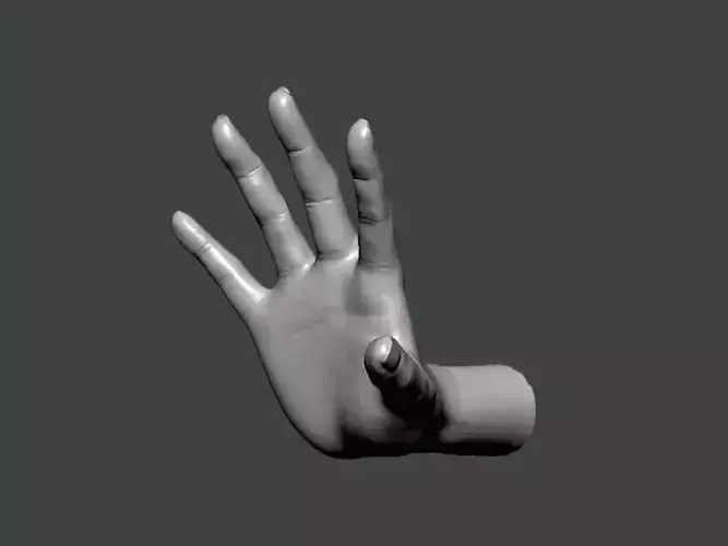 3D Model-HAND0027 hand