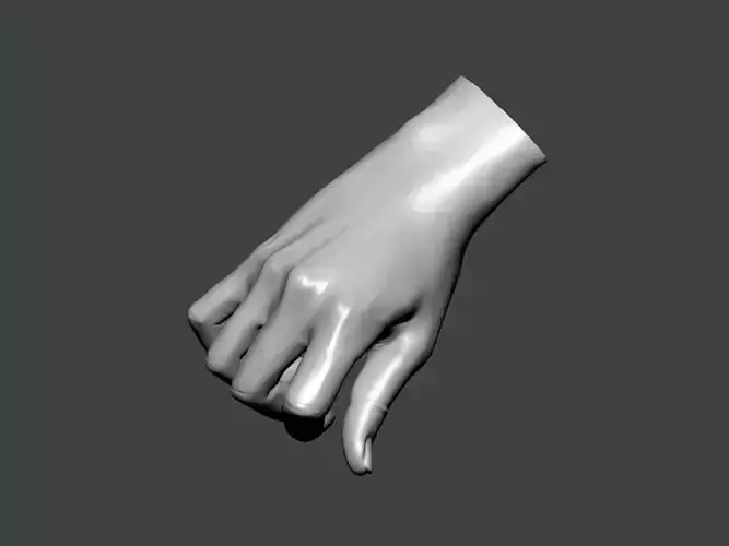 3D Model-HAND0030 hand