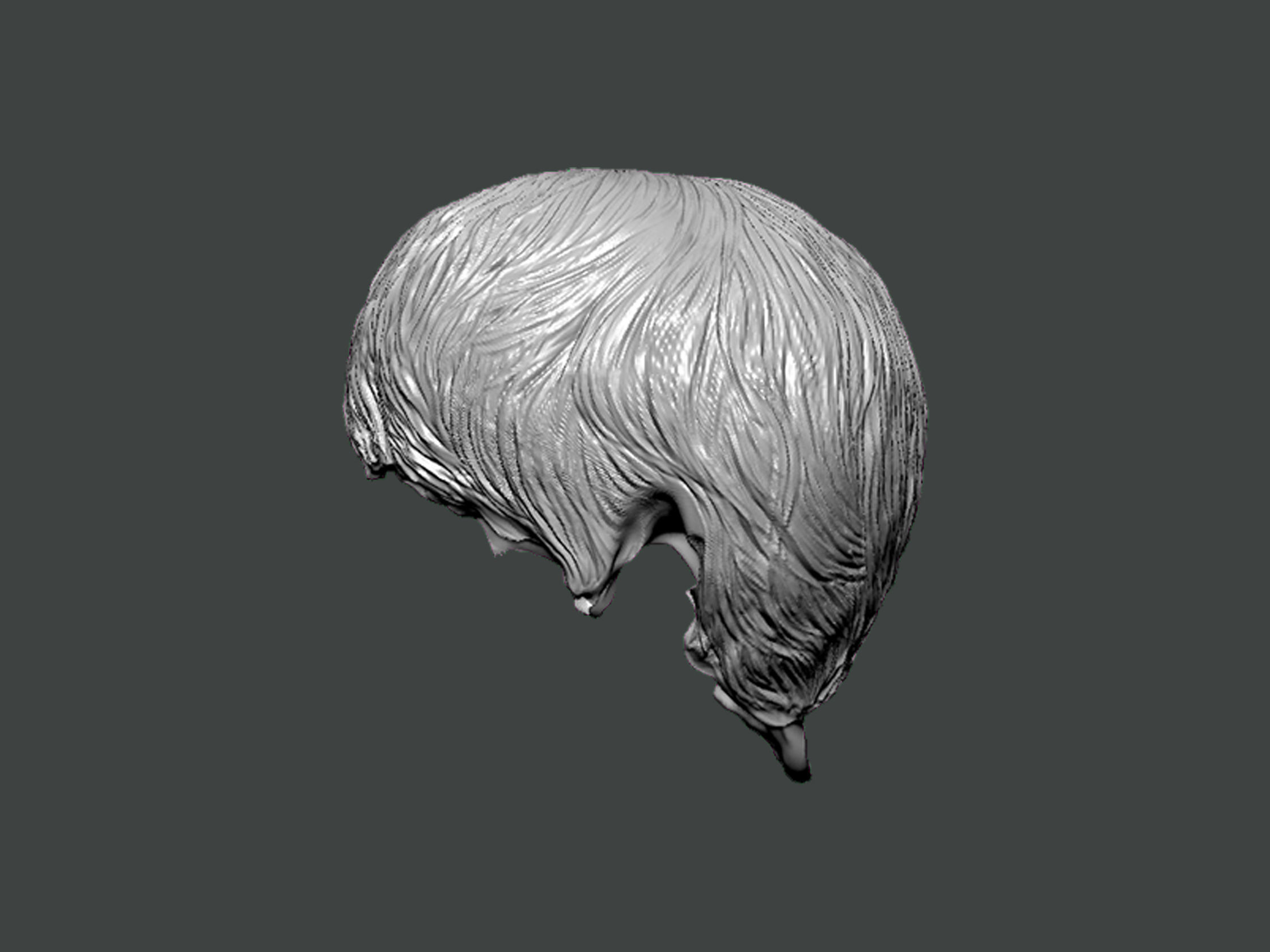 3D Model-HAIR0002 head 3D print model_2