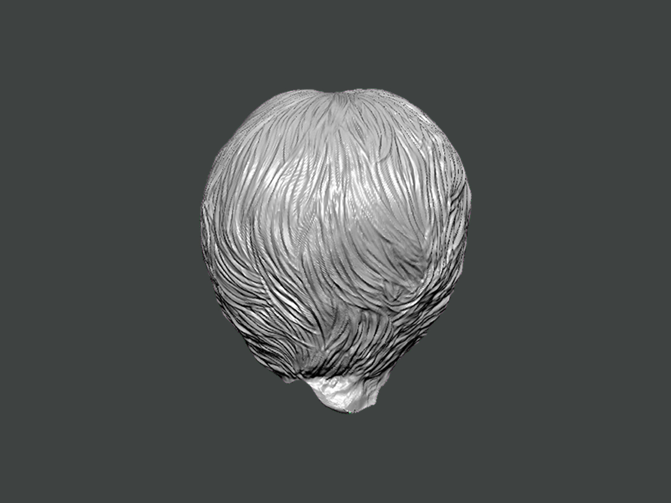 3D Model-HAIR0002 head 3D print model_3