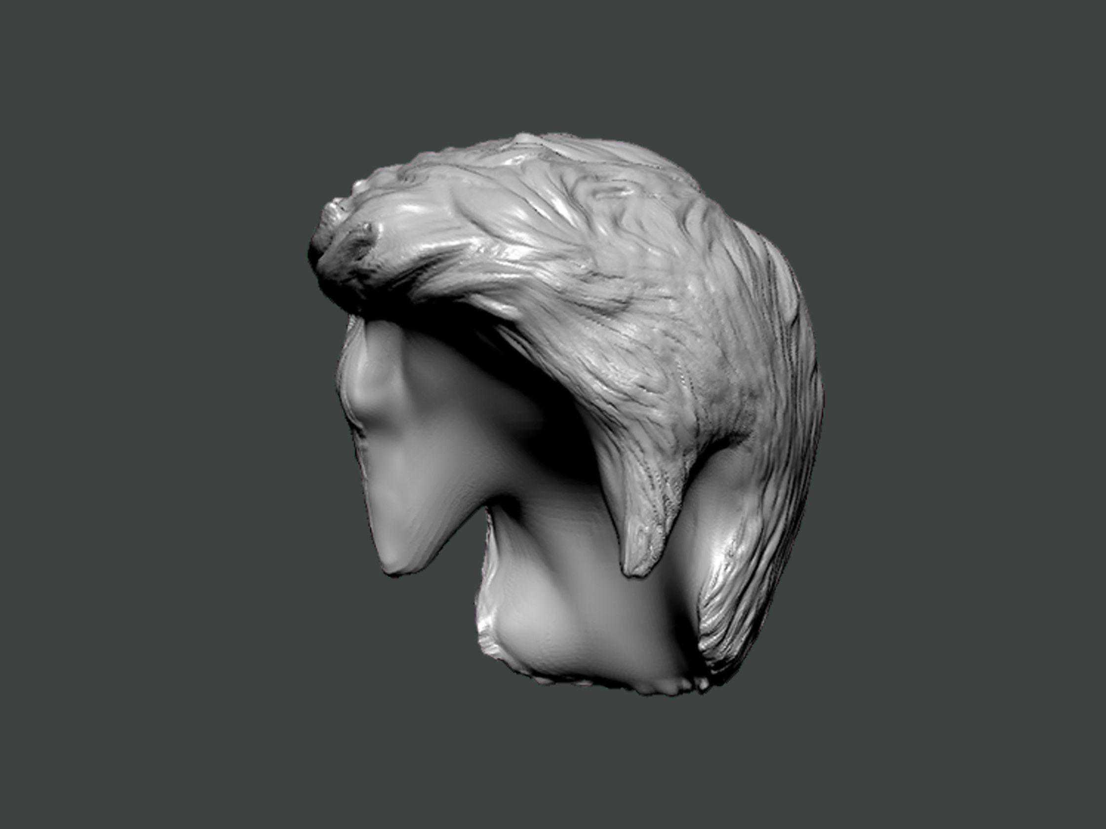 3D Model-HAIR0005 head 3D print model_2