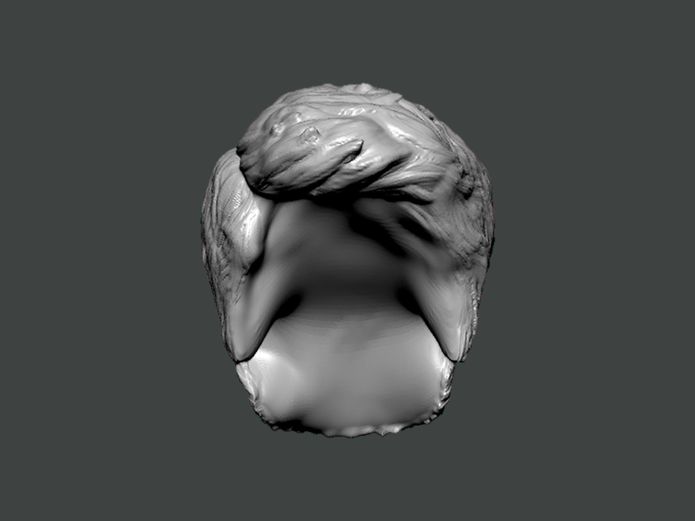 3D Model-HAIR0005 head 3D print model_1