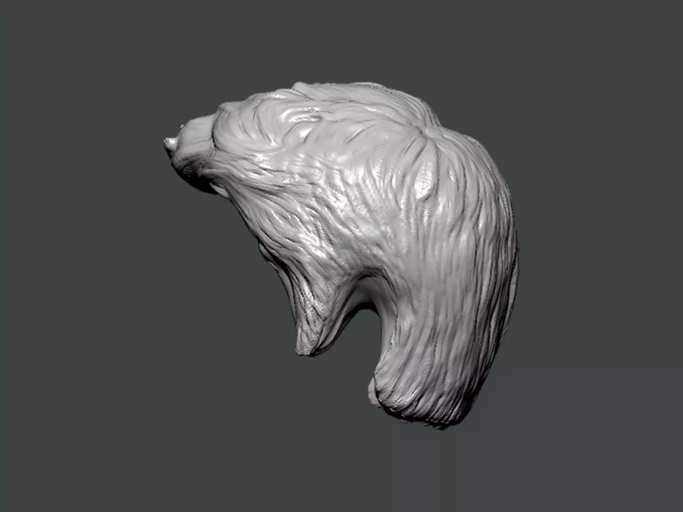 3D Model-HAIR0005 head 3D print model_0