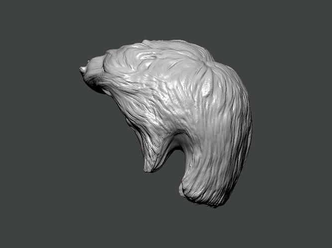 3D Model-HAIR0005 head 3D print model