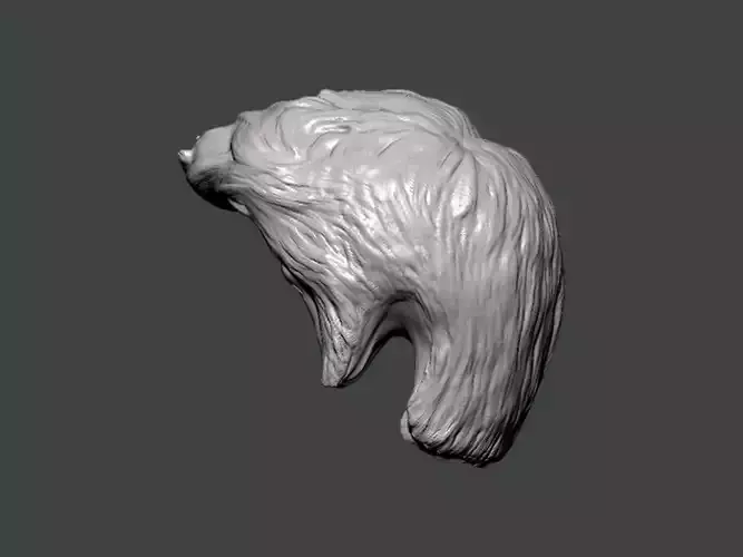 3D Model-HAIR0005 head 3D print model