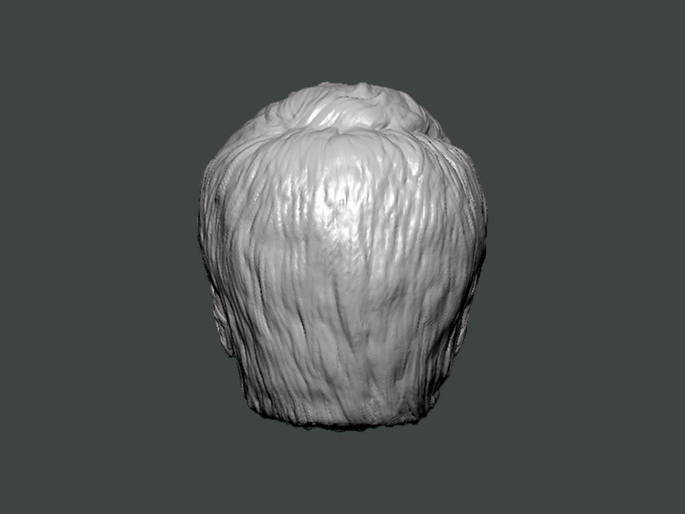 3D Model-HAIR0005 head 3D print model_3