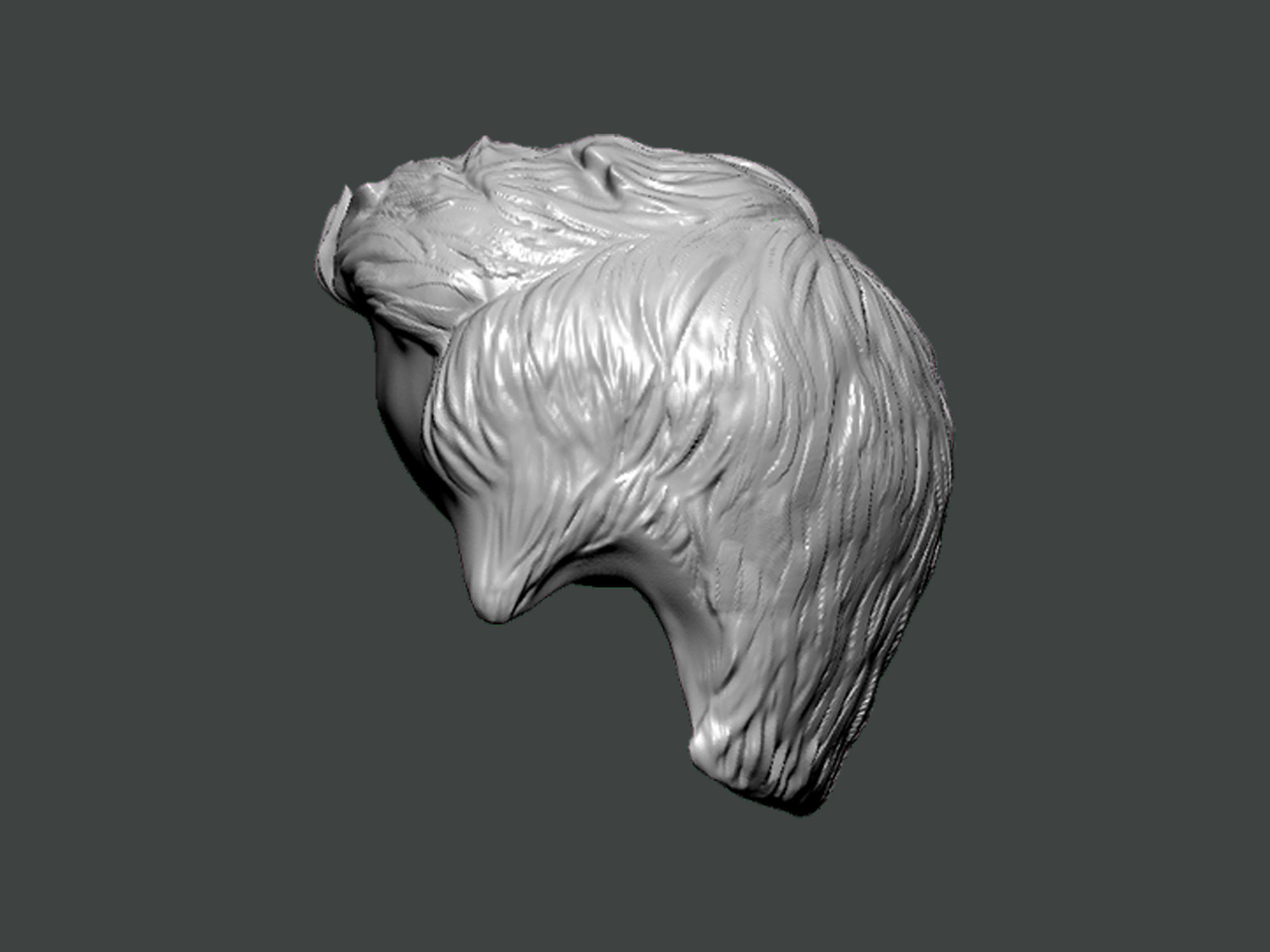 3D Model-HAIR0009 3D print model_2