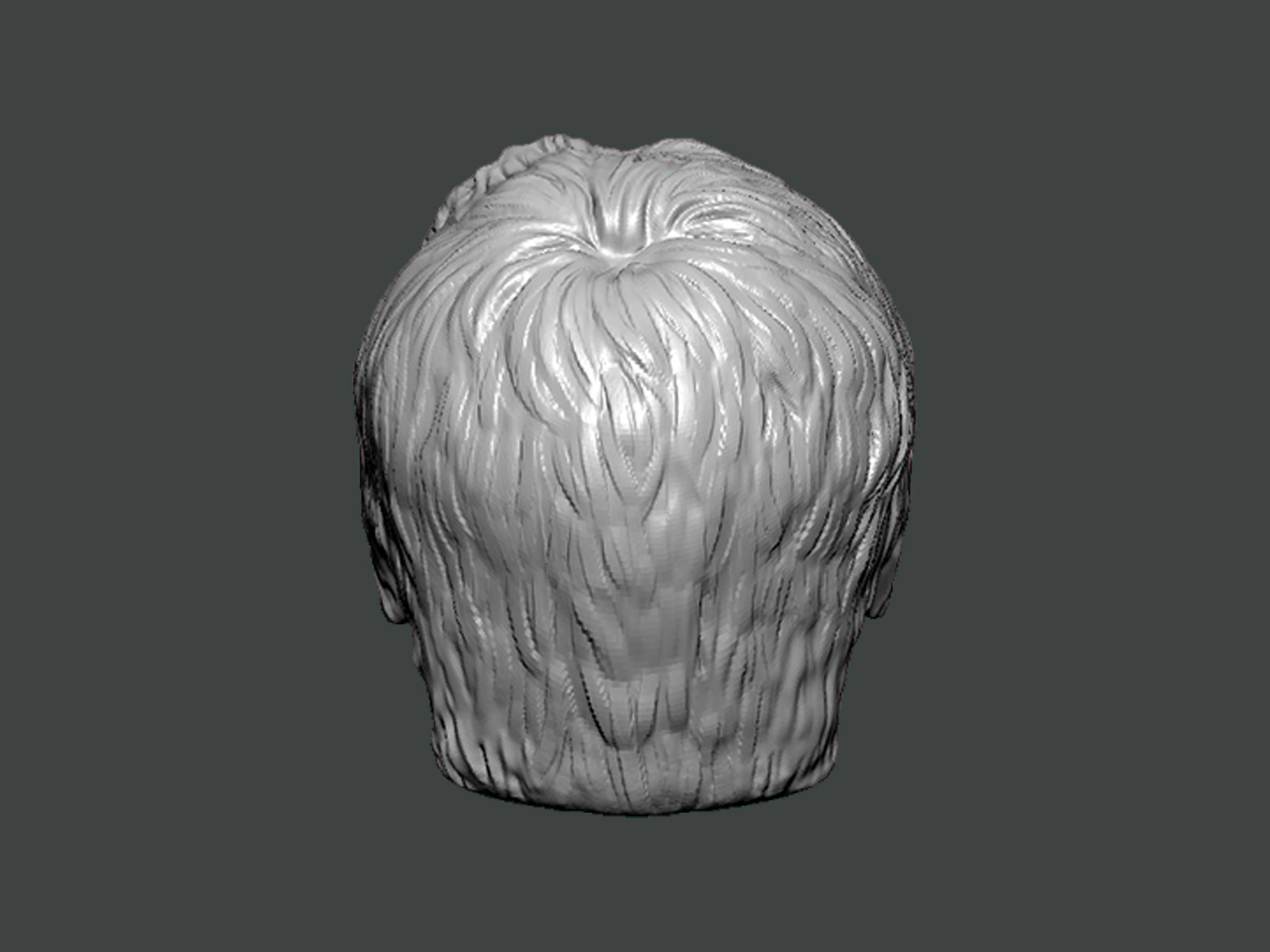 3D Model-HAIR0009 3D print model_3