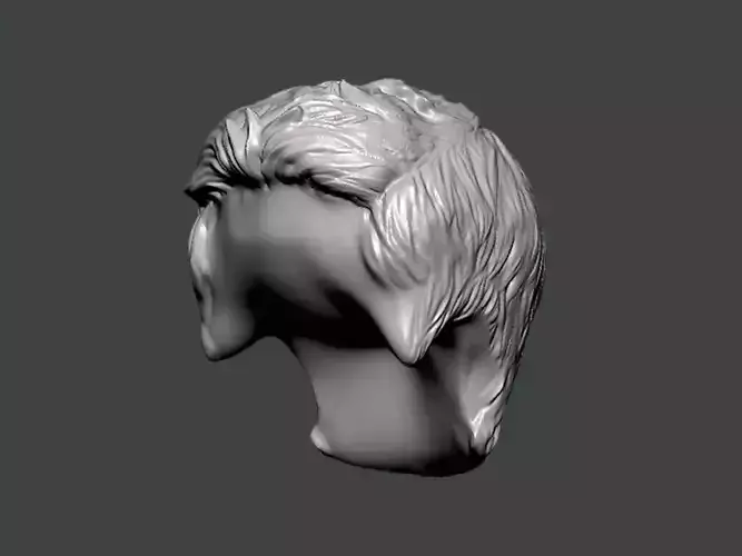 3D Model-HAIR0009