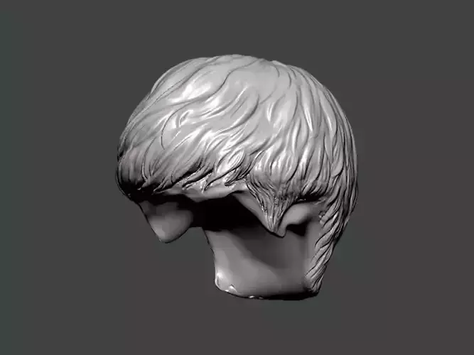 3D Model-HAIR0010 head