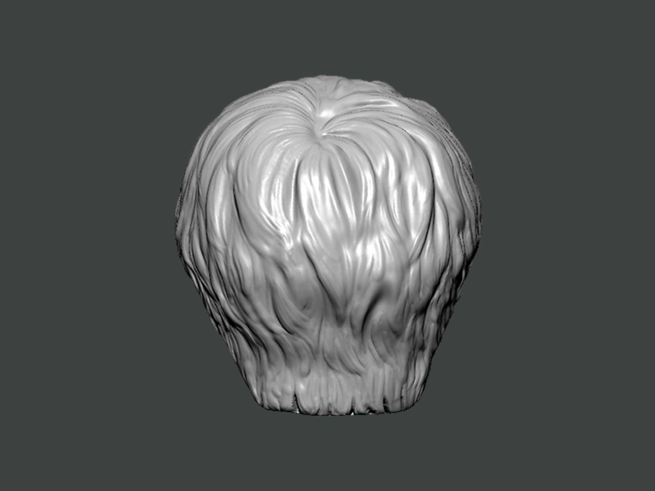 3D Model-HAIR0010 head 3D print model_3