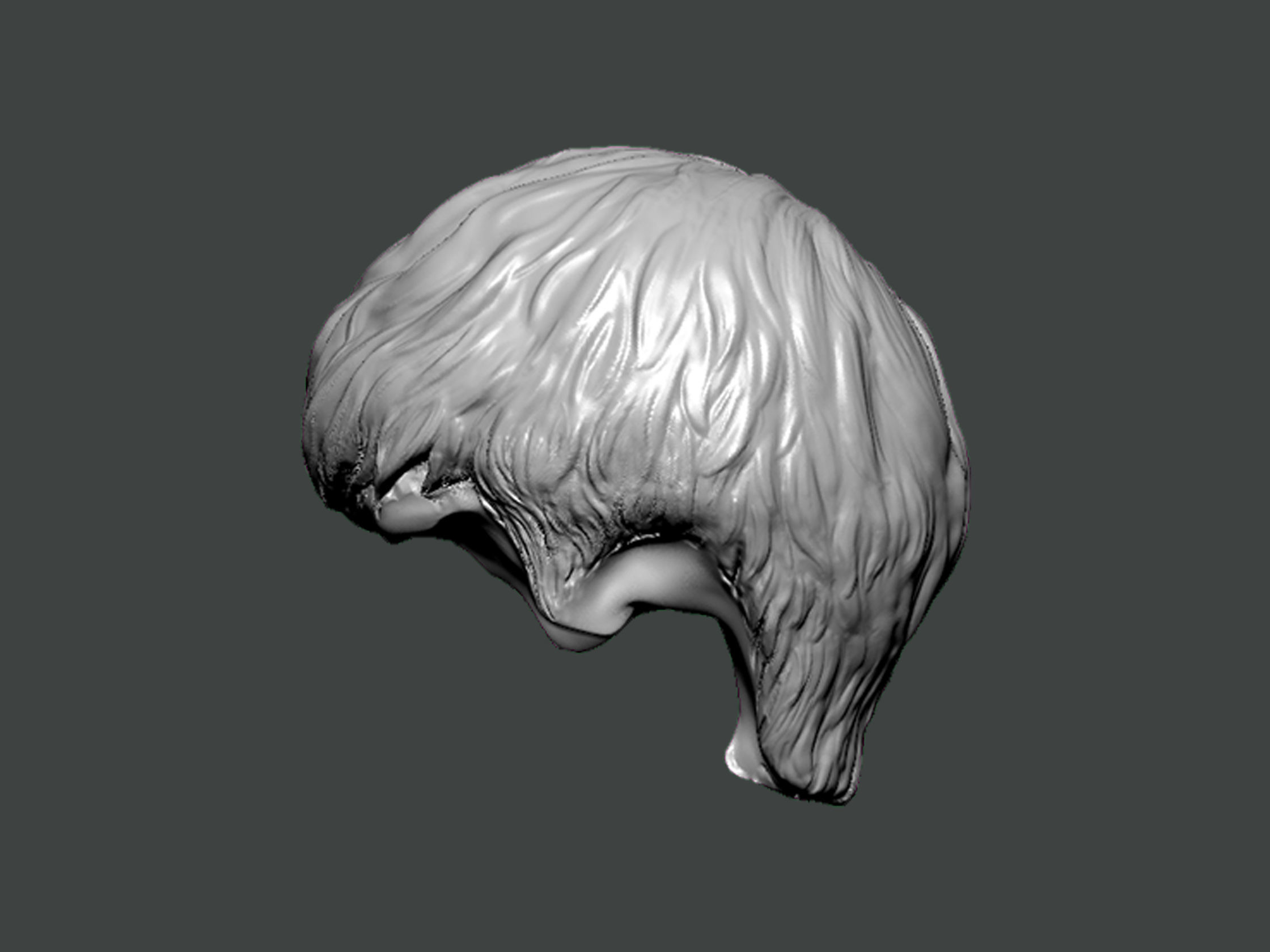 3D Model-HAIR0010 head 3D print model_2