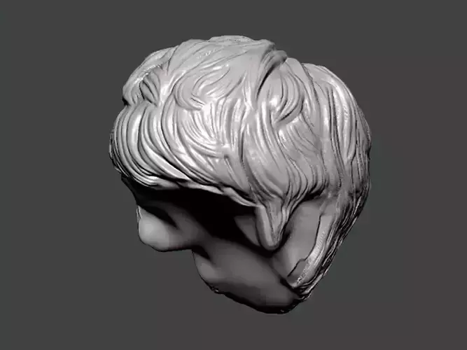 3D Model-HAIR0012 head