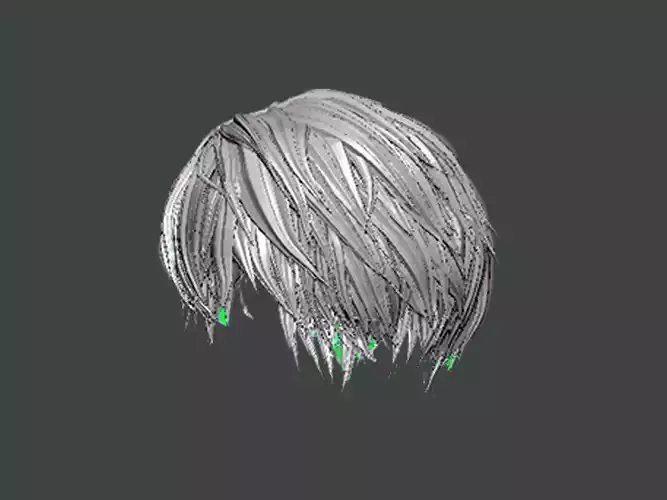 3D Model-HAIR0014
