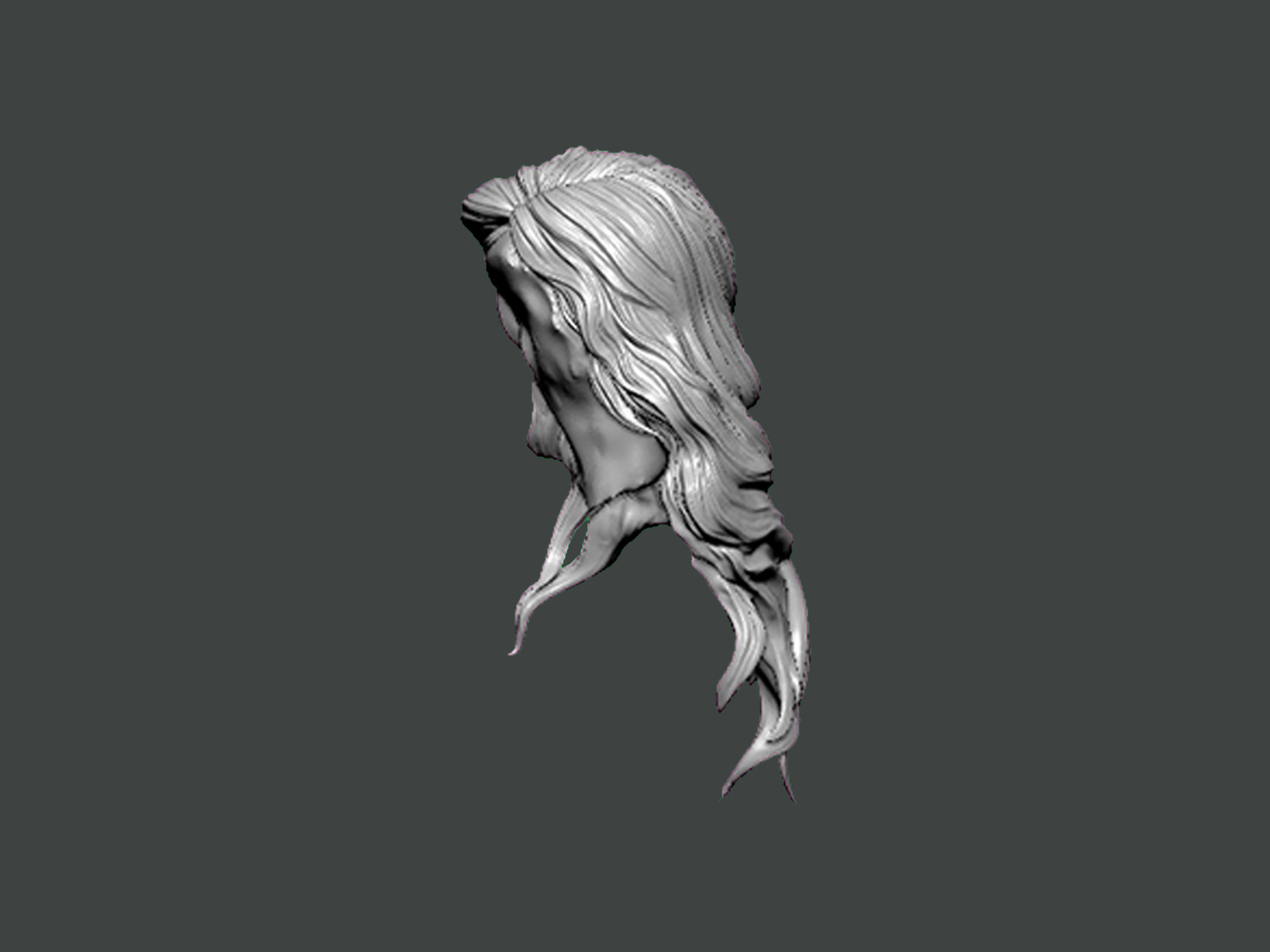 3D Model-HAIR0015 3D print model_2