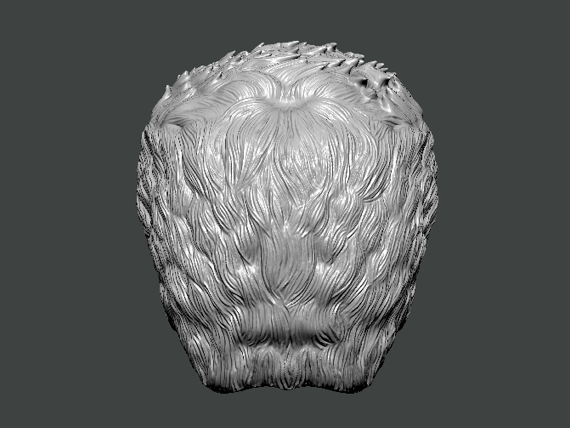 3D Model-HAIR0016 3D print model_3