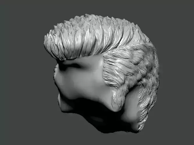 3D Model-HAIR0016