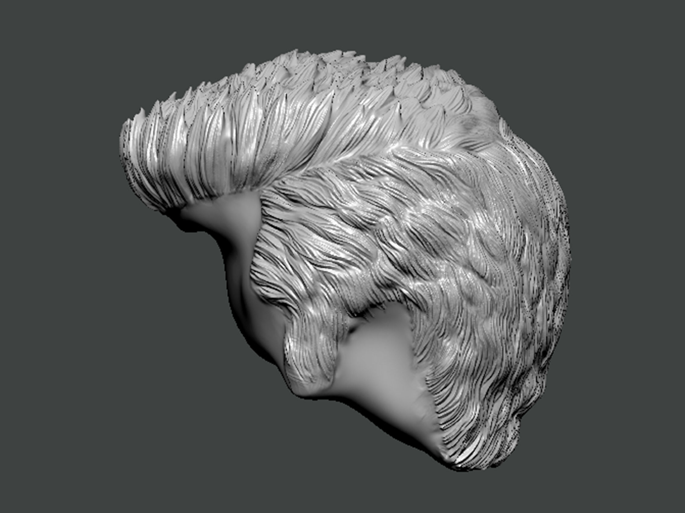 3D Model-HAIR0016 3D print model_2