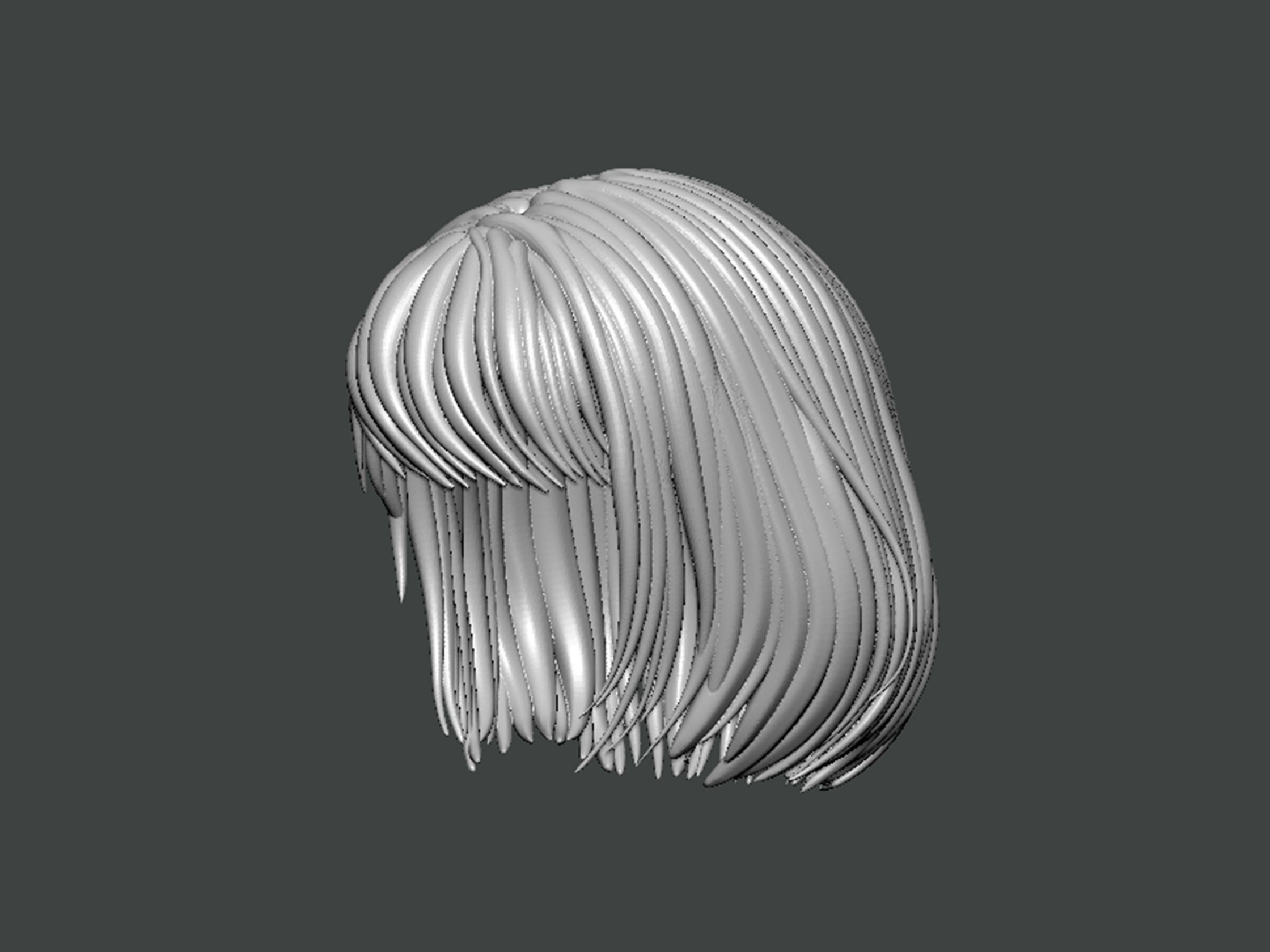 3D Model-HAIR0018 3D print model_1